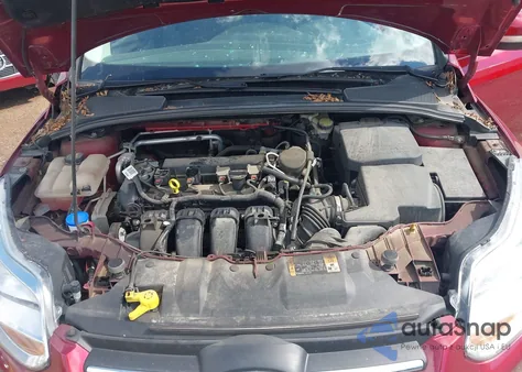 2014 Ford Focus Se z USA, uszkodzony, nr VIN 1FADP3F28EL292631